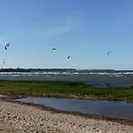 Seestern Strandnahe In *