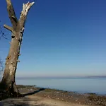 Seestern Strandnahe In Hohen Wieschendorf