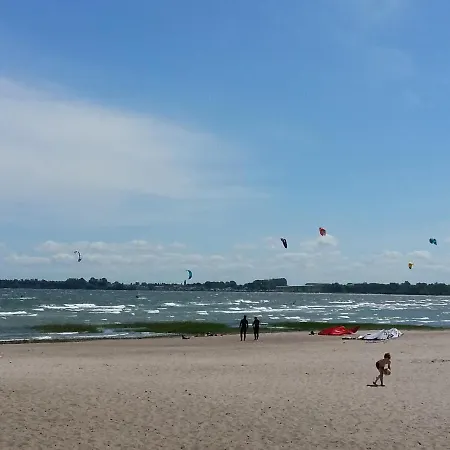 Seestern Strandnahe In *