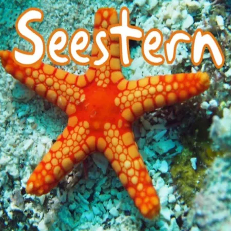 Seestern Strandnahe In