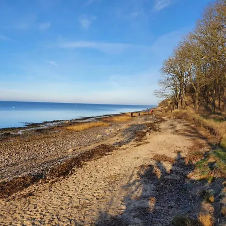 Daire Seestern Strandnahe In *