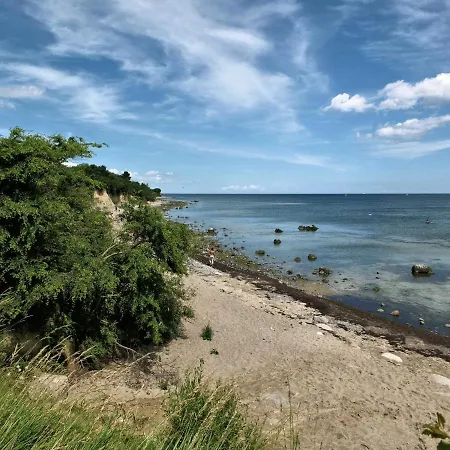 Seestern Strandnahe In 아파트 *