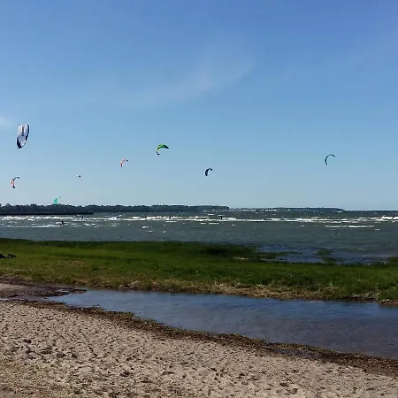 Seestern Strandnahe In *