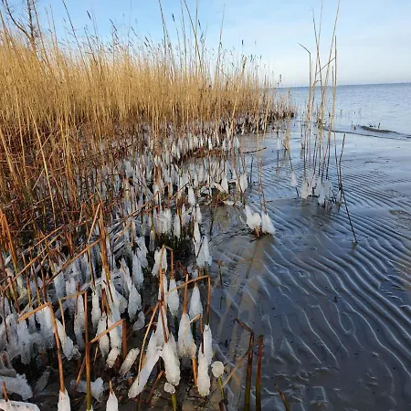 Seestern Strandnahe In * Hohen Wieschendorf