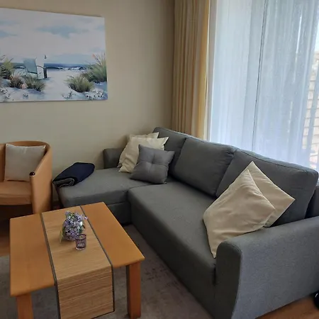 Seestern Strandnahe In *