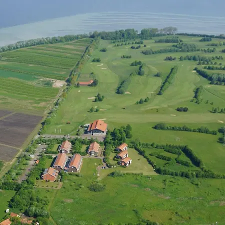 Seestern Strandnahe In Hohen Wieschendorf