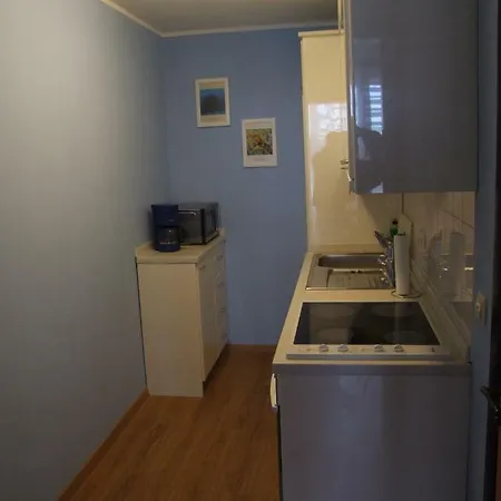 Seestern Strandnahe In Hohen Wieschendorf