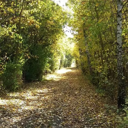 Seestern Strandnahe In 아파트