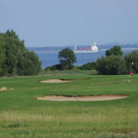 Seestern Strandnahe In * Hohen Wieschendorf