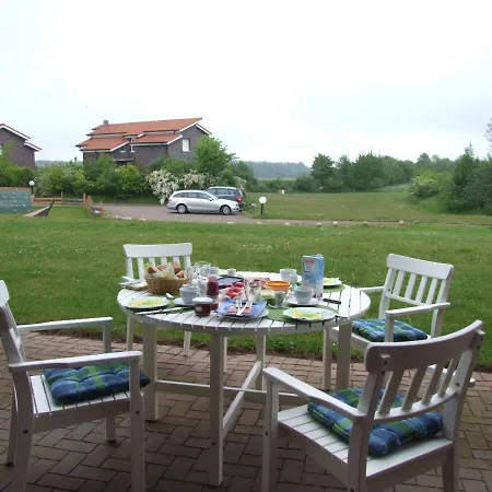 Seestern Strandnahe In