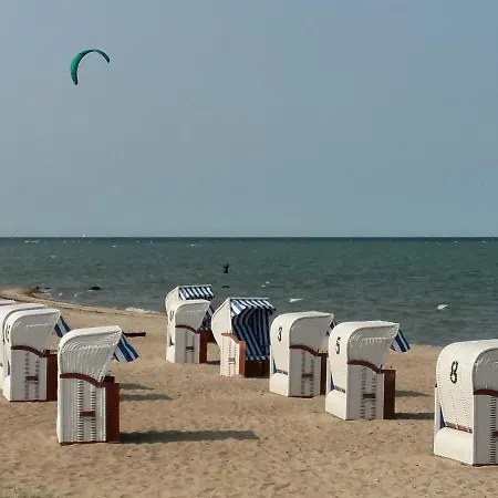 Seestern Strandnahe In 아파트 Hohen Wieschendorf