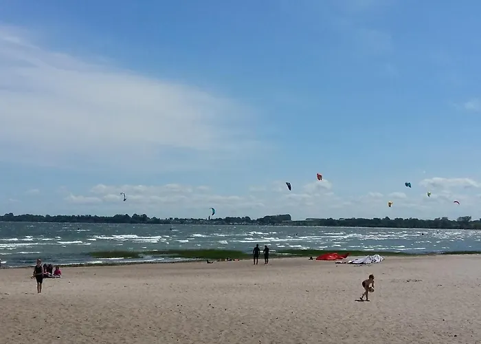 Seestern Strandnahe In *