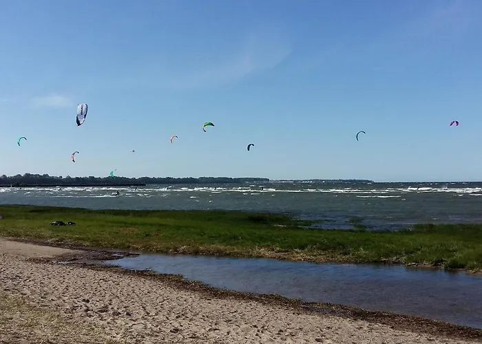 Seestern Strandnahe In *