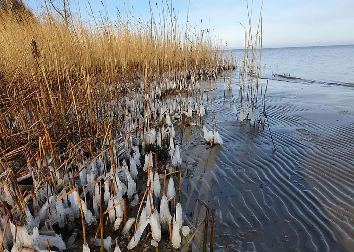 Seestern Strandnahe In * Hohen Wieschendorf