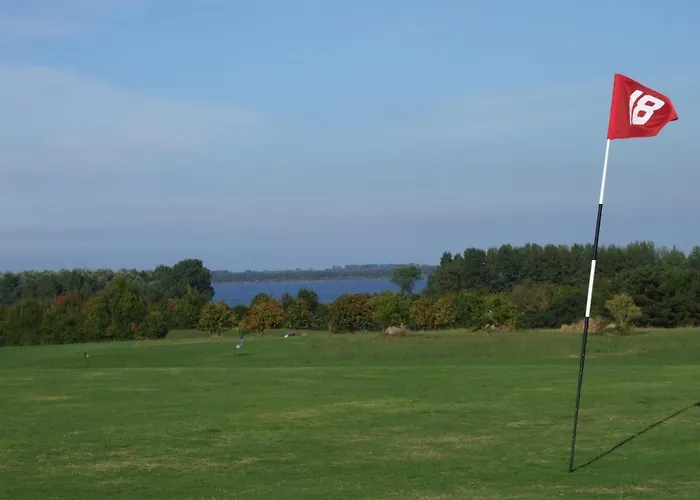 Seestern Strandnahe In Hohen Wieschendorf