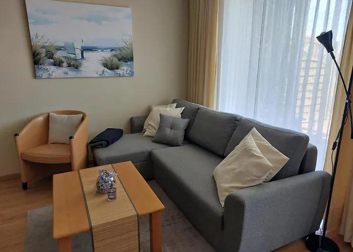 Seestern Strandnahe In *