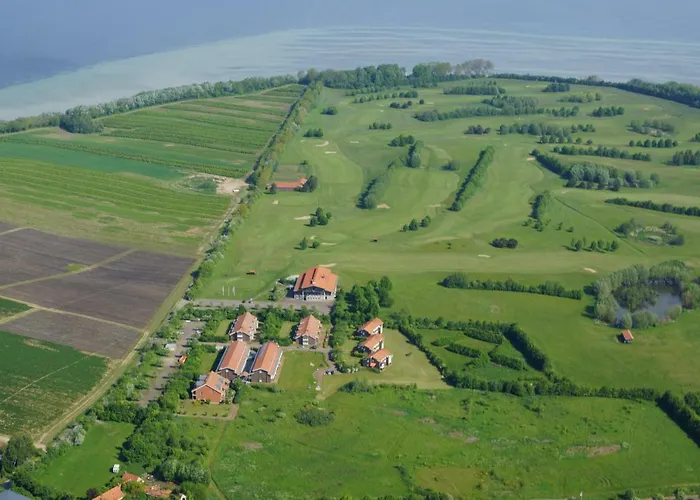 Seestern Strandnahe In Hohen Wieschendorf