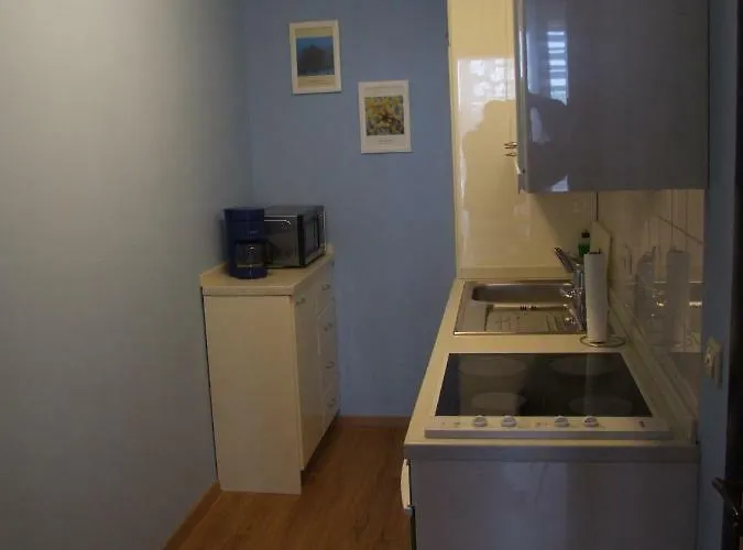 Seestern Strandnahe In Hohen Wieschendorf