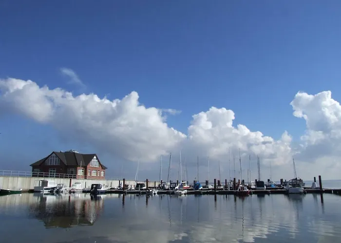 Seestern Strandnahe In 公寓