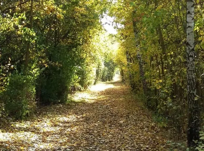 Seestern Strandnahe In 公寓