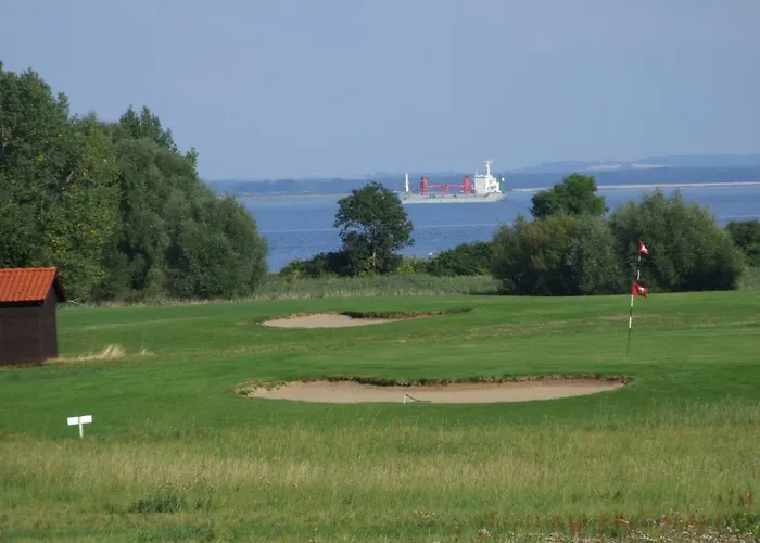Seestern Strandnahe In * Hohen Wieschendorf