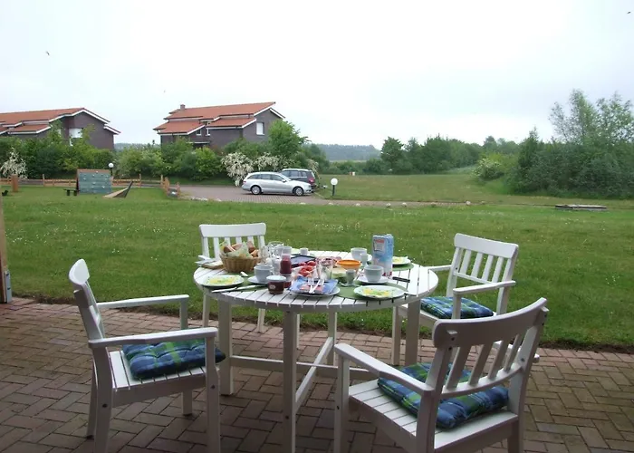 Seestern Strandnahe In