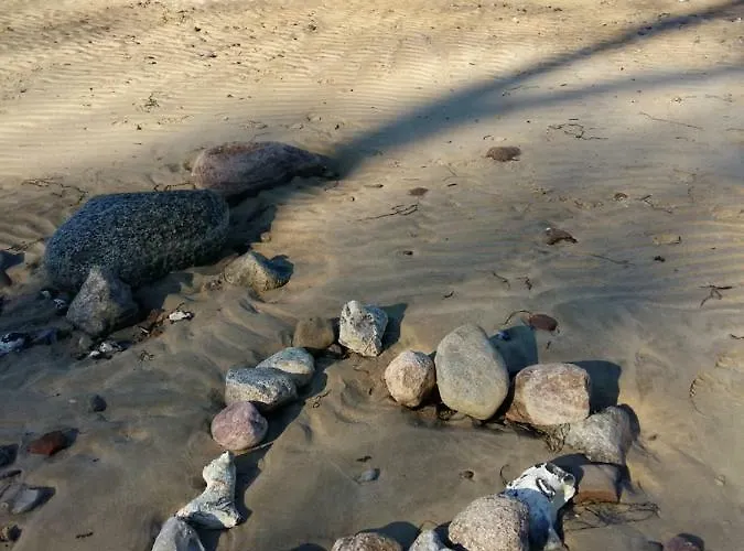 Seestern Strandnahe In * Hohen Wieschendorf